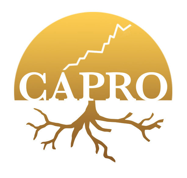 Capro Ltd